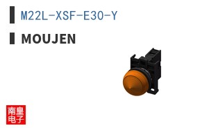 M22L-XSF-E30-Y ͼƬ