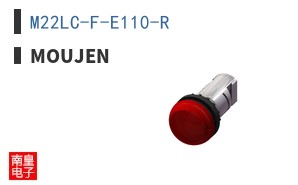 M22LC-F-E110-R ͼƬ
