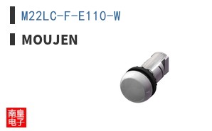 M22LC-F-E110-W ͼƬ