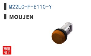M22LC-F-E110-Y ͼƬ