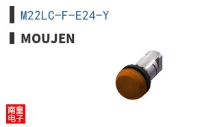 M22LC-F-E24-Y ͼƬ
