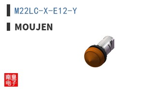 M22LC-X-E12-Y ͼƬ
