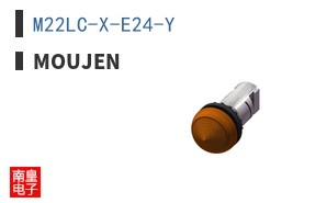 M22LC-X-E24-Y ͼƬ
