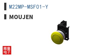 M22MP-MSF01-Y ͼƬ