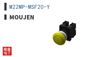 M22MP-MSF20-Y ͼƬ