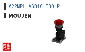 M22MPL-ASB10-E30-R ͼƬ