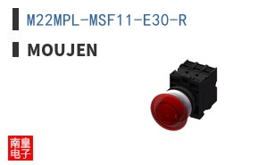 M22MPL-MSF11-E30-R ͼƬ
