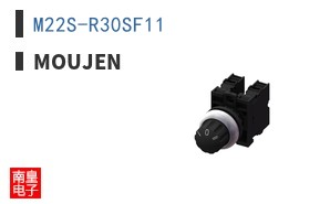M22S-R30SF11 ͼƬ