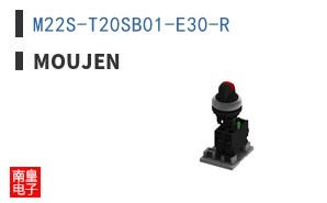 M22S-T20SB01-E30-R ͼƬ