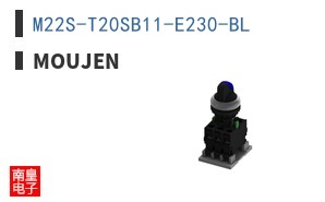 M22S-T20SB11-E230-BL ͼƬ
