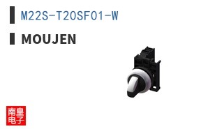 M22S-T20SF01-W ͼƬ