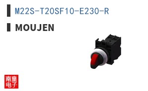 M22S-T20SF10-E230-R ͼƬ
