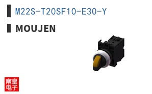 M22S-T20SF10-E30-Y ͼƬ