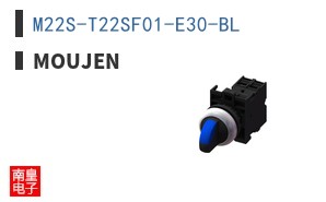 M22S-T22SF01-E30-BL ͼƬ