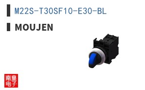 M22S-T30SF10-E30-BL ͼƬ