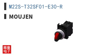 M22S-T32SF01-E30-R ͼƬ
