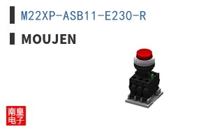 M22XP-ASB11-E230-R ͼƬ