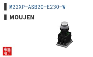 M22XP-ASB20-E230-W ͼƬ