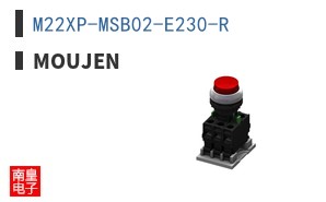 M22XP-MSB02-E230-R ͼƬ