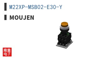 M22XP-MSB02-E30-Y ͼƬ