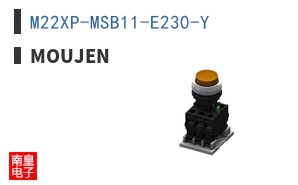 M22XP-MSB11-E230-Y ͼƬ