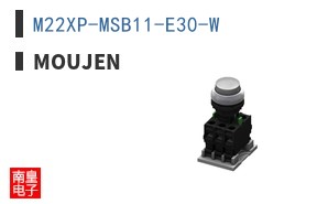 M22XP-MSB11-E30-W ͼƬ
