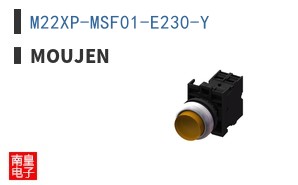 M22XP-MSF01-E230-Y ͼƬ