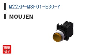 M22XP-MSF01-E30-Y ͼƬ