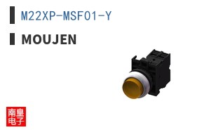 M22XP-MSF01-Y ͼƬ
