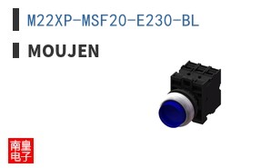 M22XP-MSF20-E230-BL ͼƬ