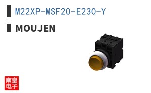 M22XP-MSF20-E230-Y ͼƬ