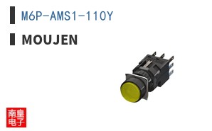 M6P-AMS1-110Y ͼƬ