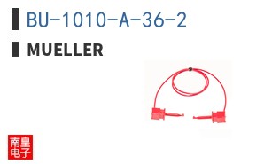 BU-1010-A-36-2 ͼƬ