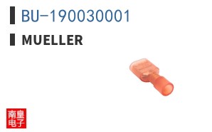 BU-190030001 ͼƬ