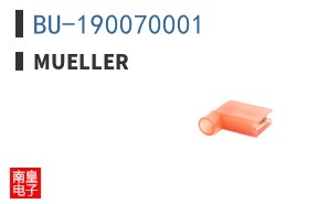 BU-190070001 ͼƬ