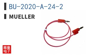 BU-2020-A-24-2 ͼƬ