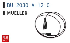 BU-2030-A-12-0 ͼƬ