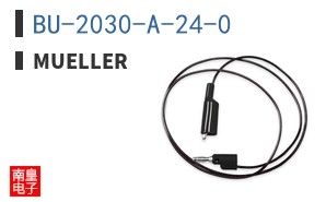 BU-2030-A-24-0 ͼƬ