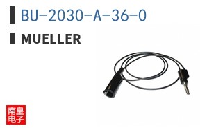 BU-2030-A-36-0 ͼƬ
