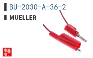 BU-2030-A-36-2 ͼƬ