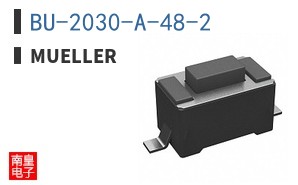 BU-2030-A-48-2 ͼƬ