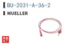BU-2031-A-36-2 ͼƬ