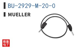 BU-2929-M-20-0 ͼƬ