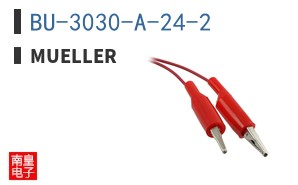 BU-3030-A-24-2 ͼƬ