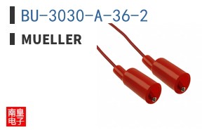 BU-3030-A-36-2 ͼƬ
