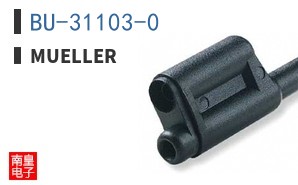 BU-31103-0 ͼƬ