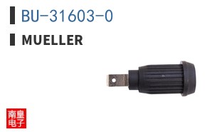 BU-31603-0 ͼƬ