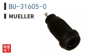 BU-31605-0 ͼƬ