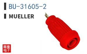 BU-31605-2 ͼƬ
