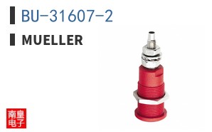 BU-31607-2 ͼƬ